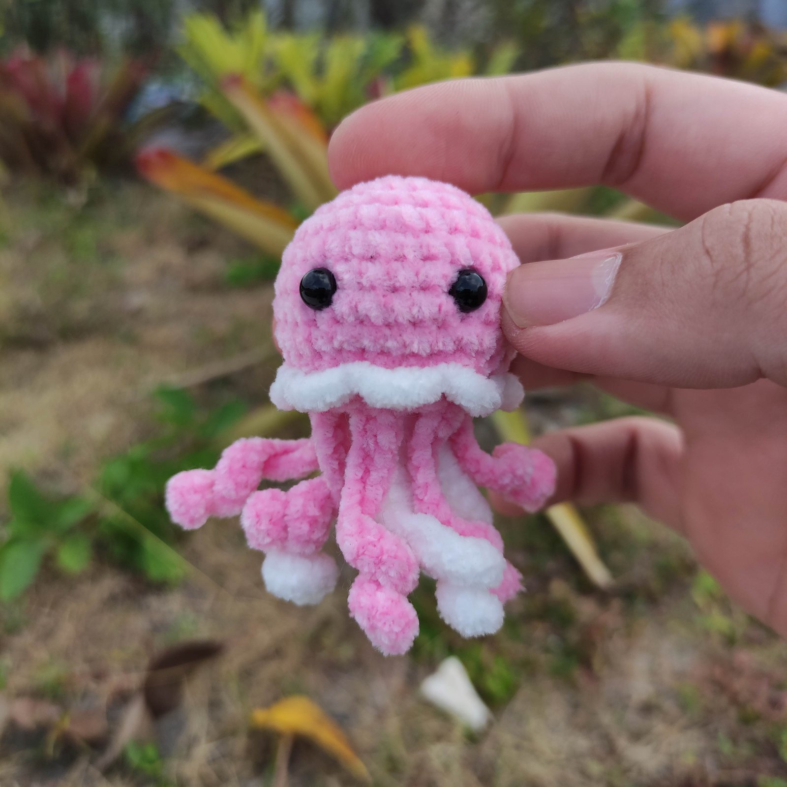 Gurita Pink Sedang