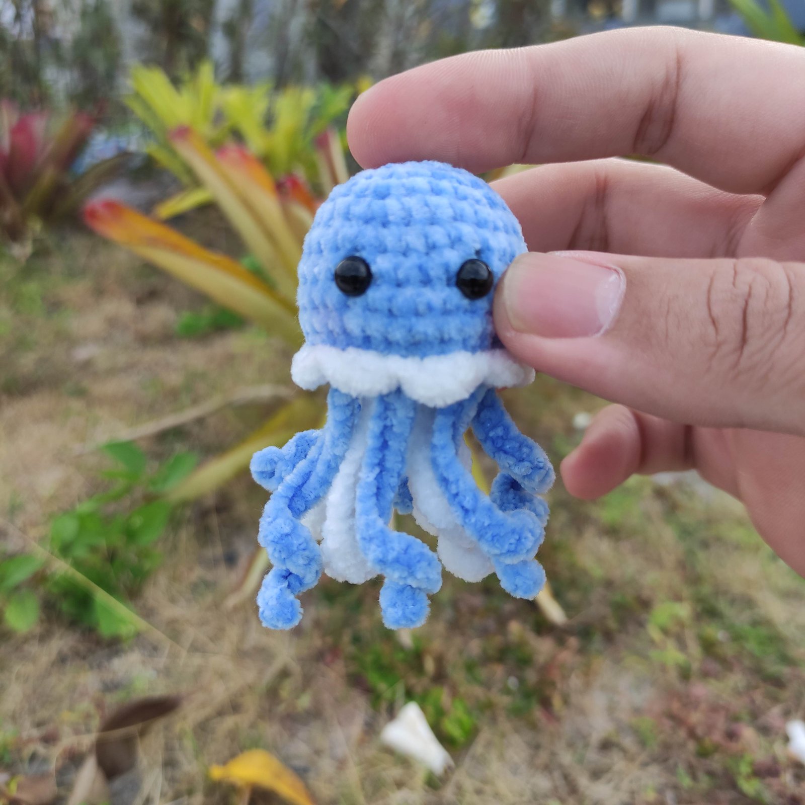 Gurita Biru Sedang