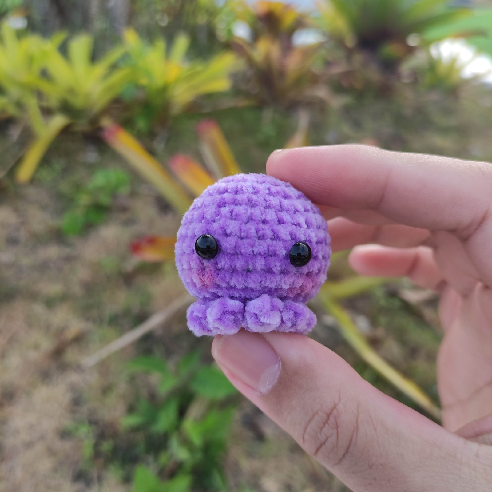 Gurita Mini Lavender