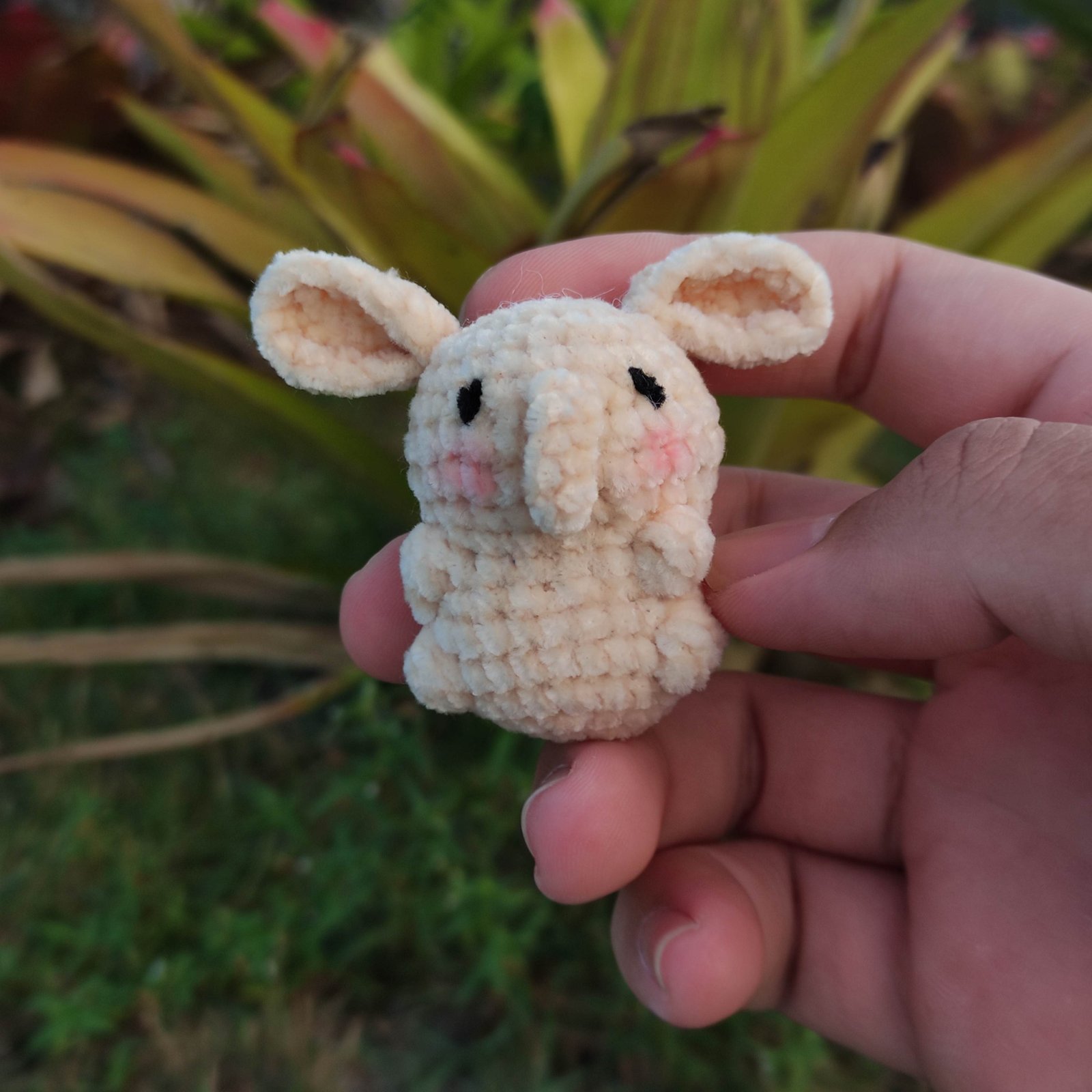 Gajah Mungil Cream