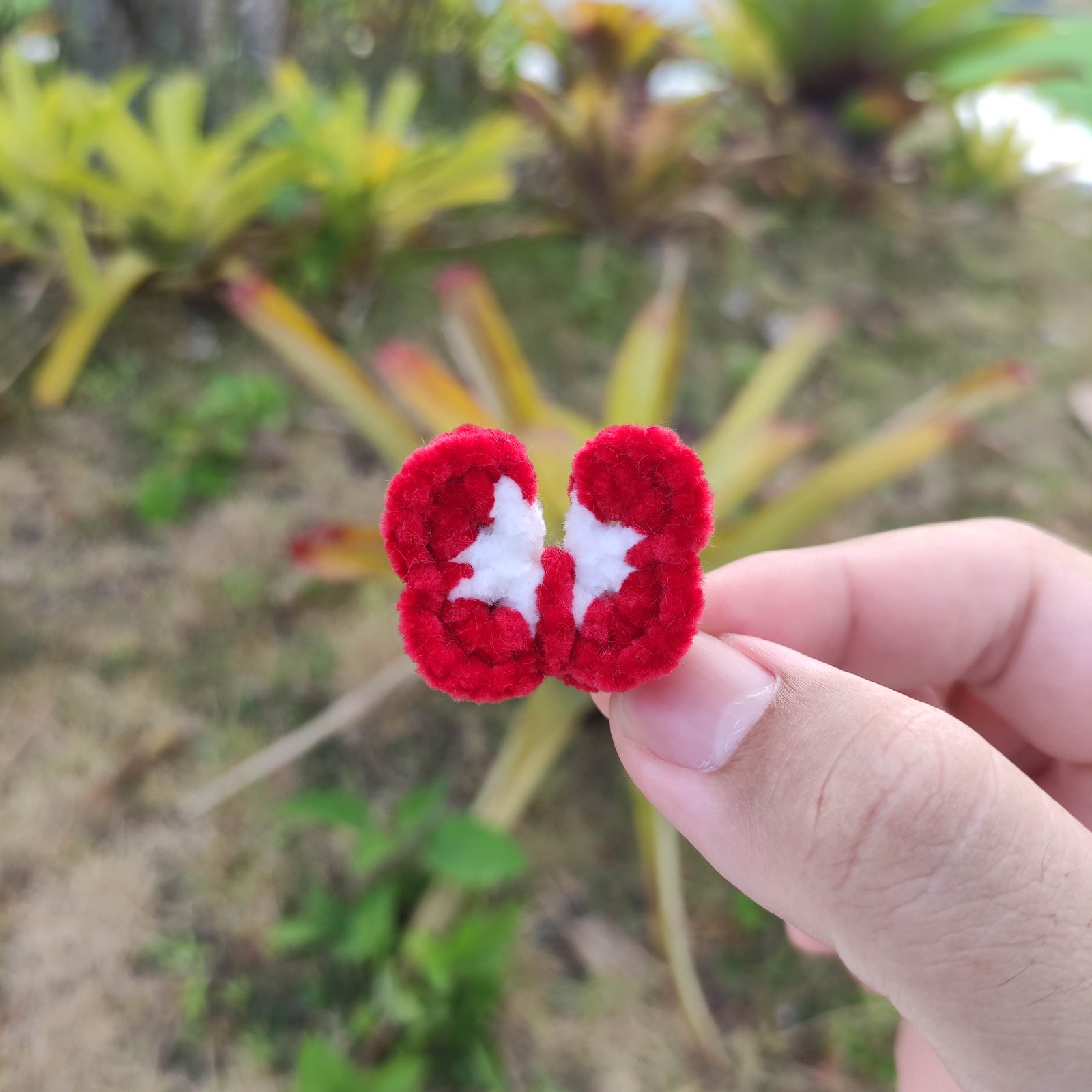 Kupu-Kupu Mungil Merah Darah