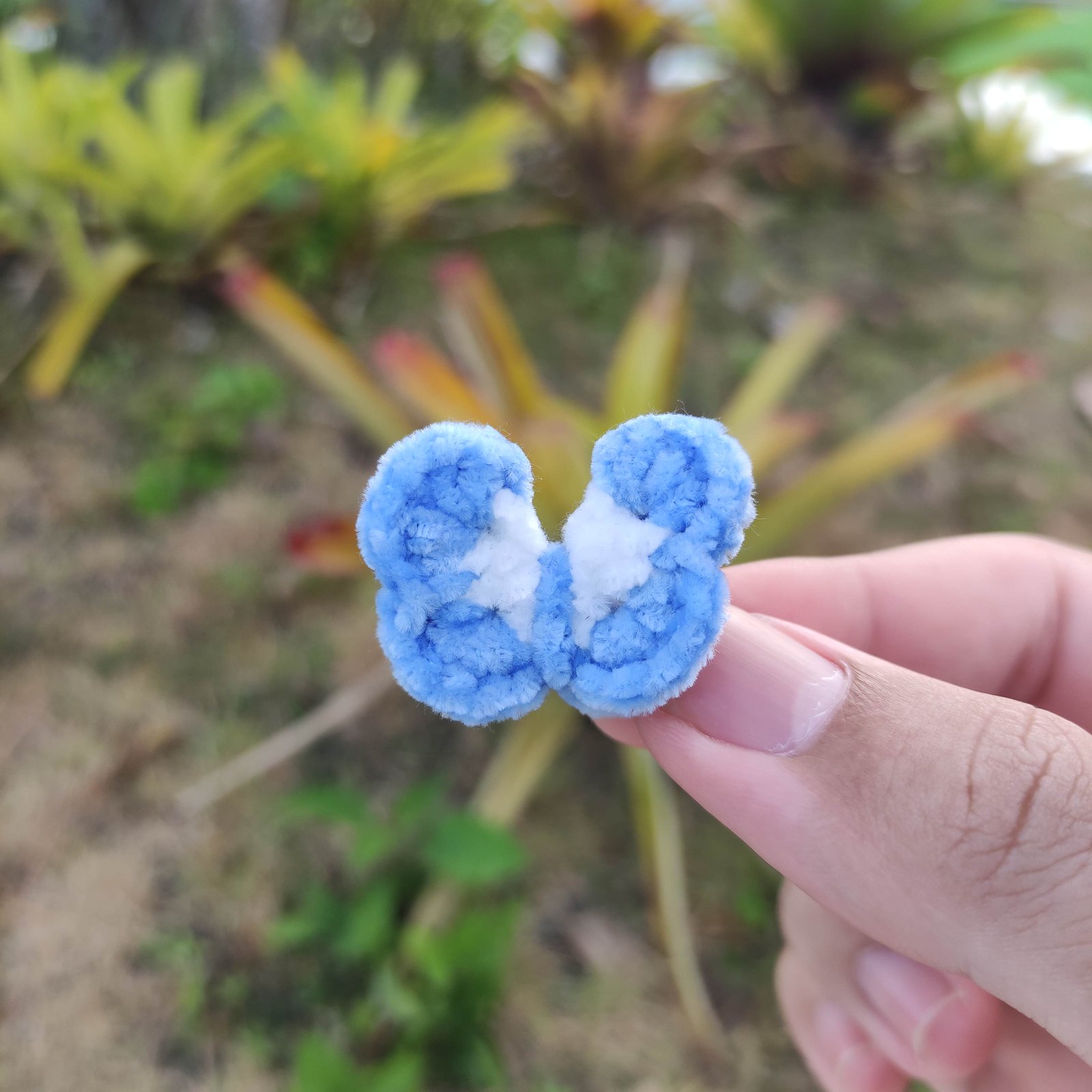 Kupu-Kupu Mungil Biru