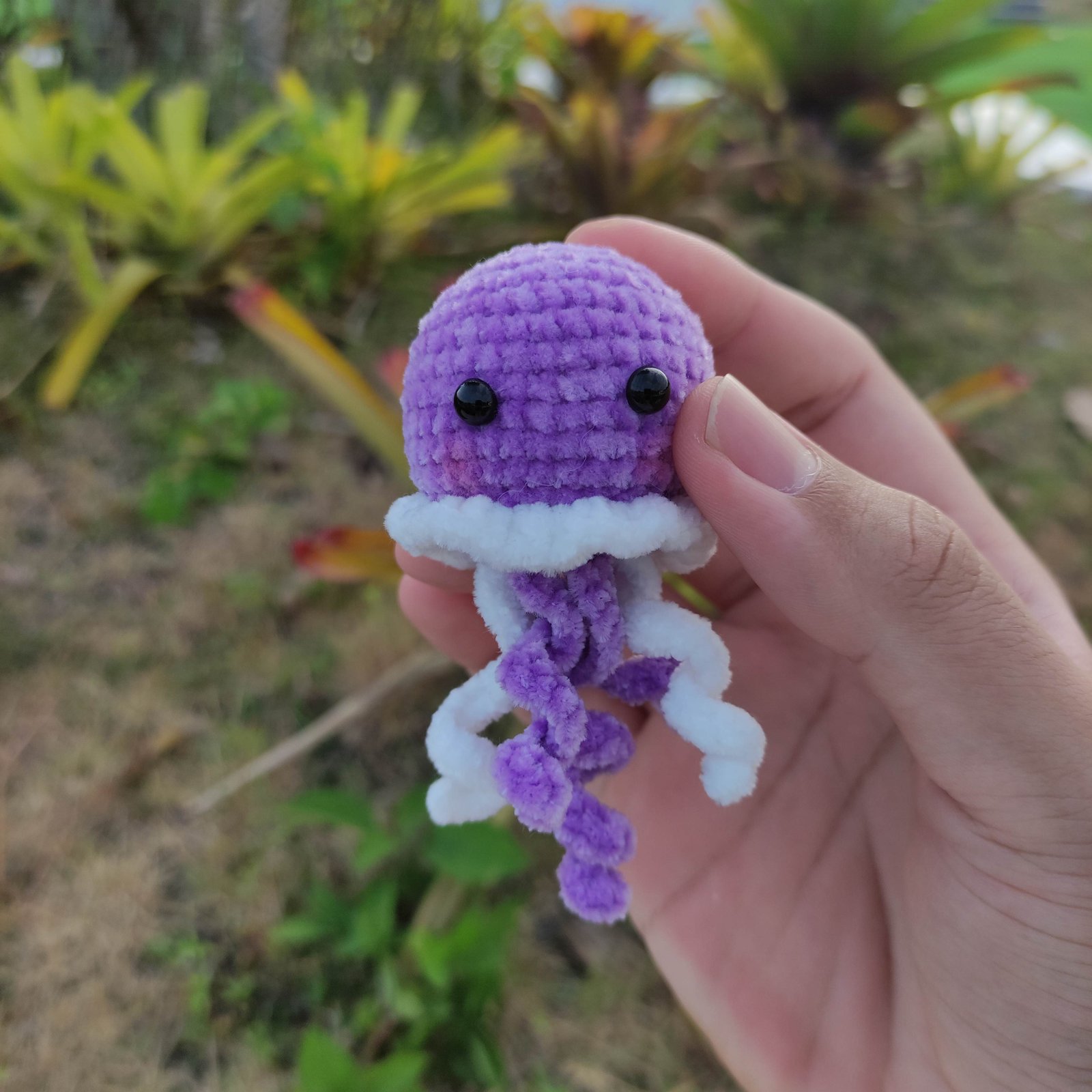 Gurita Chubby Lavender