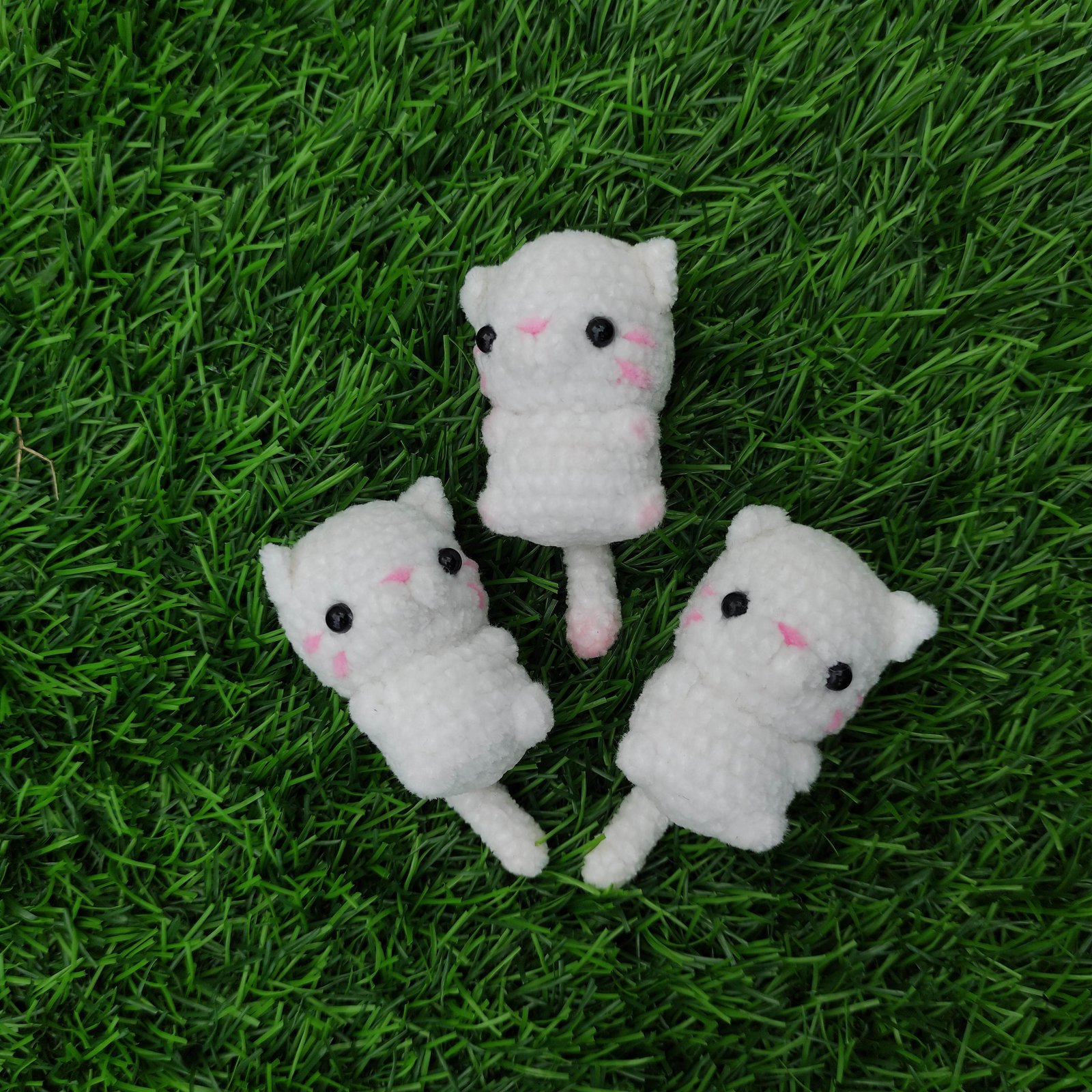 Anak Kucing Putih Mungil