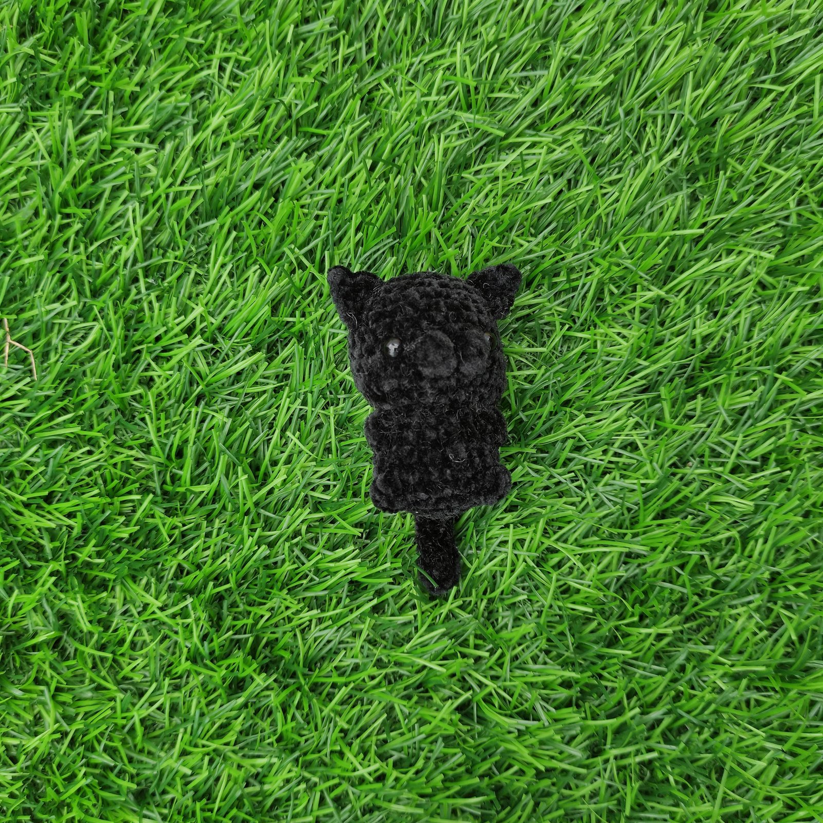 Anak Kucing Hitam Mungil