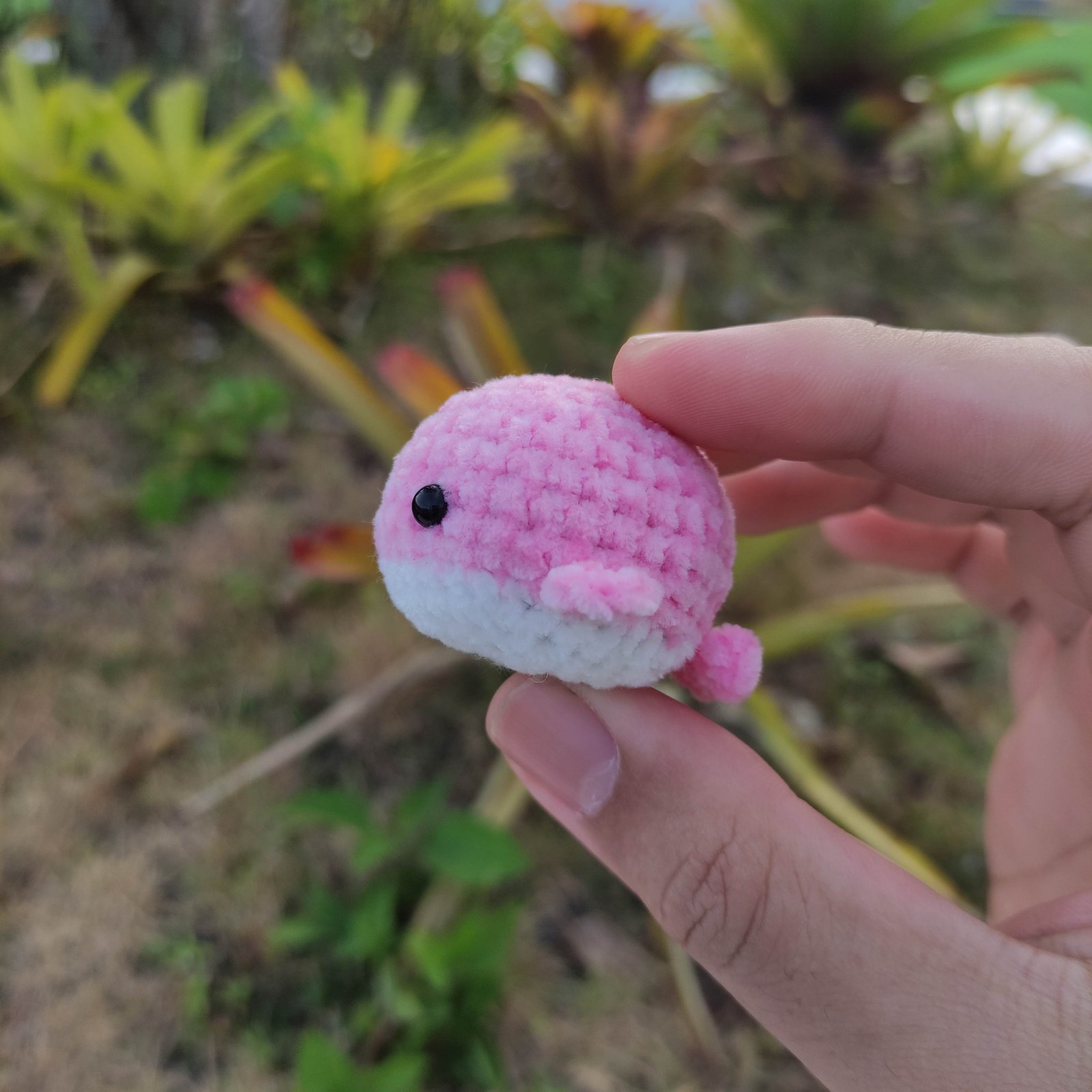Paus Bulat Sedang Pink