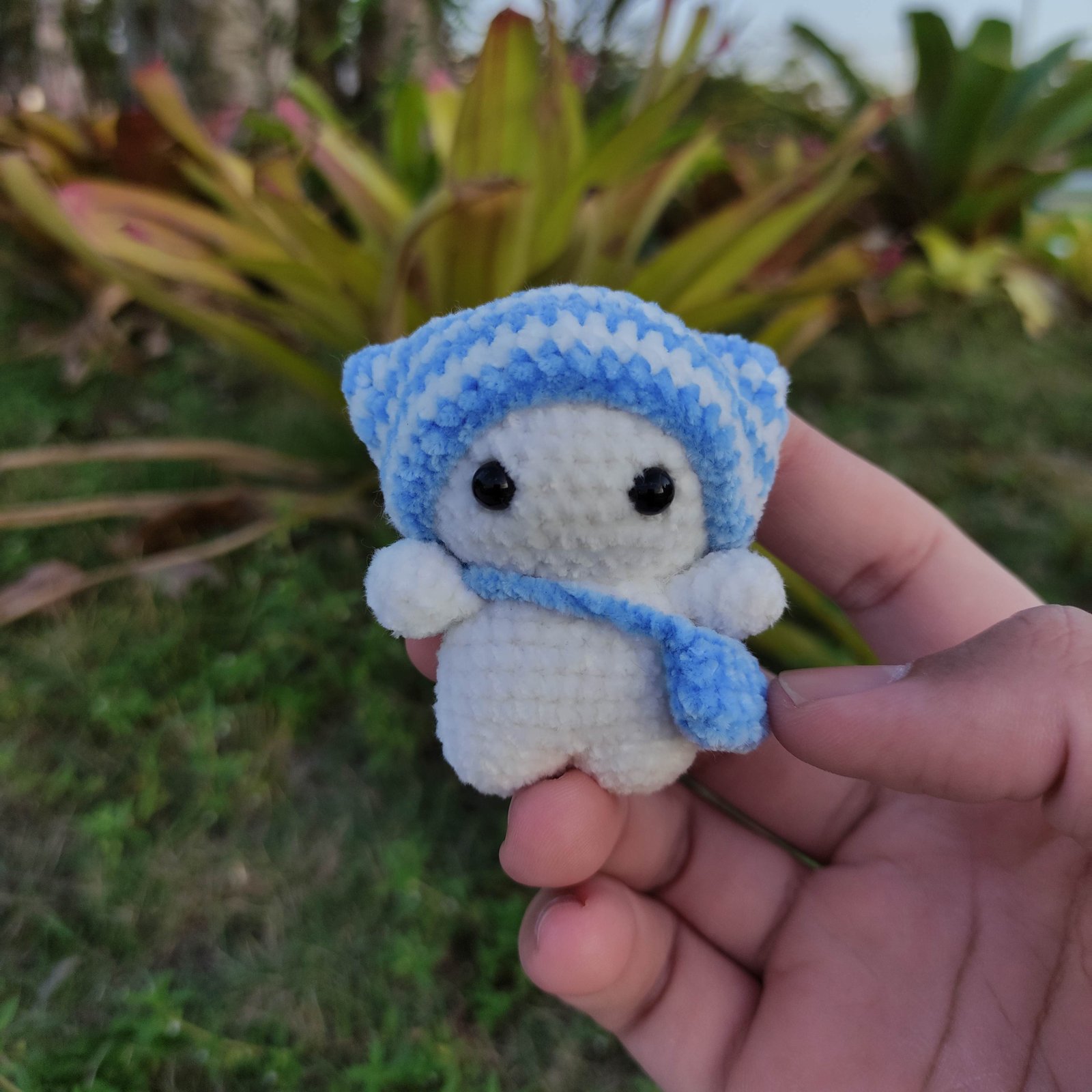 Kucing Kupluk Biru