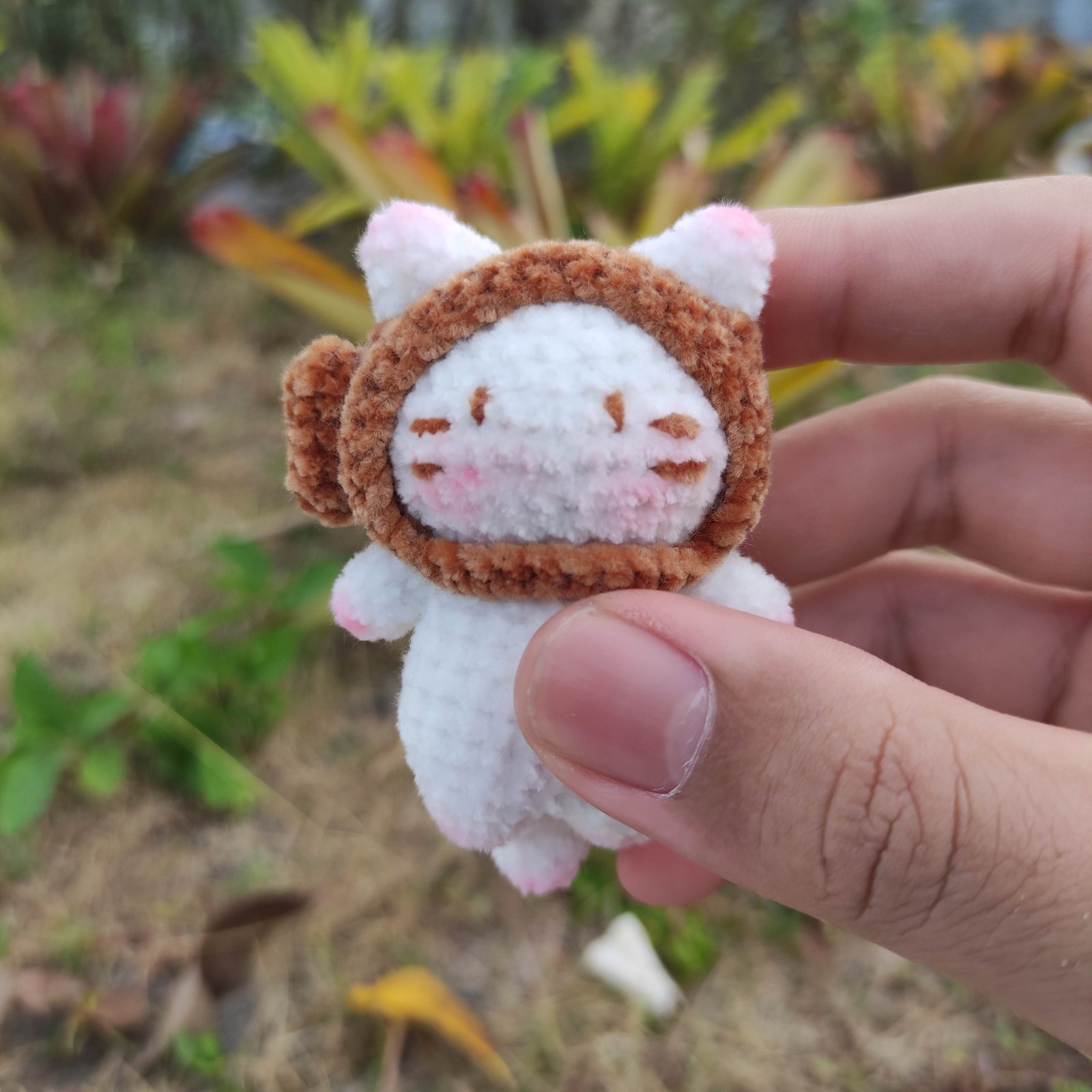 Kucing Topi Ikan Coklat