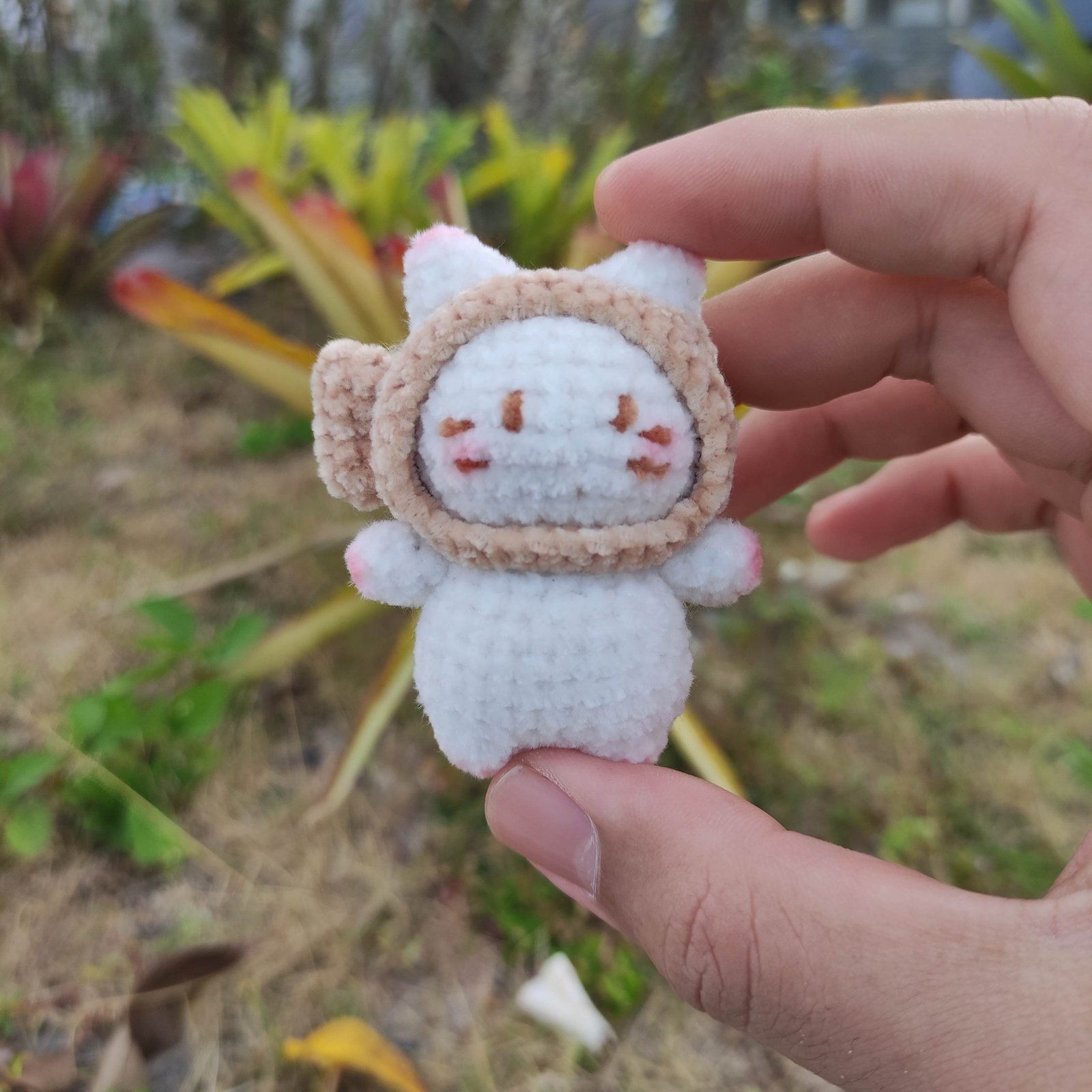 Kucing Topi Ikan Coklat Muda