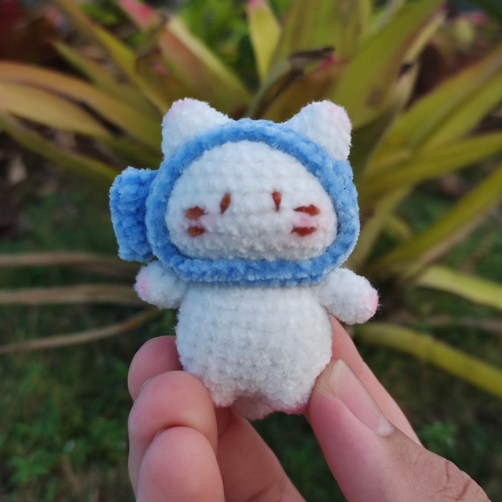 Kucing Topi Ikan Biru