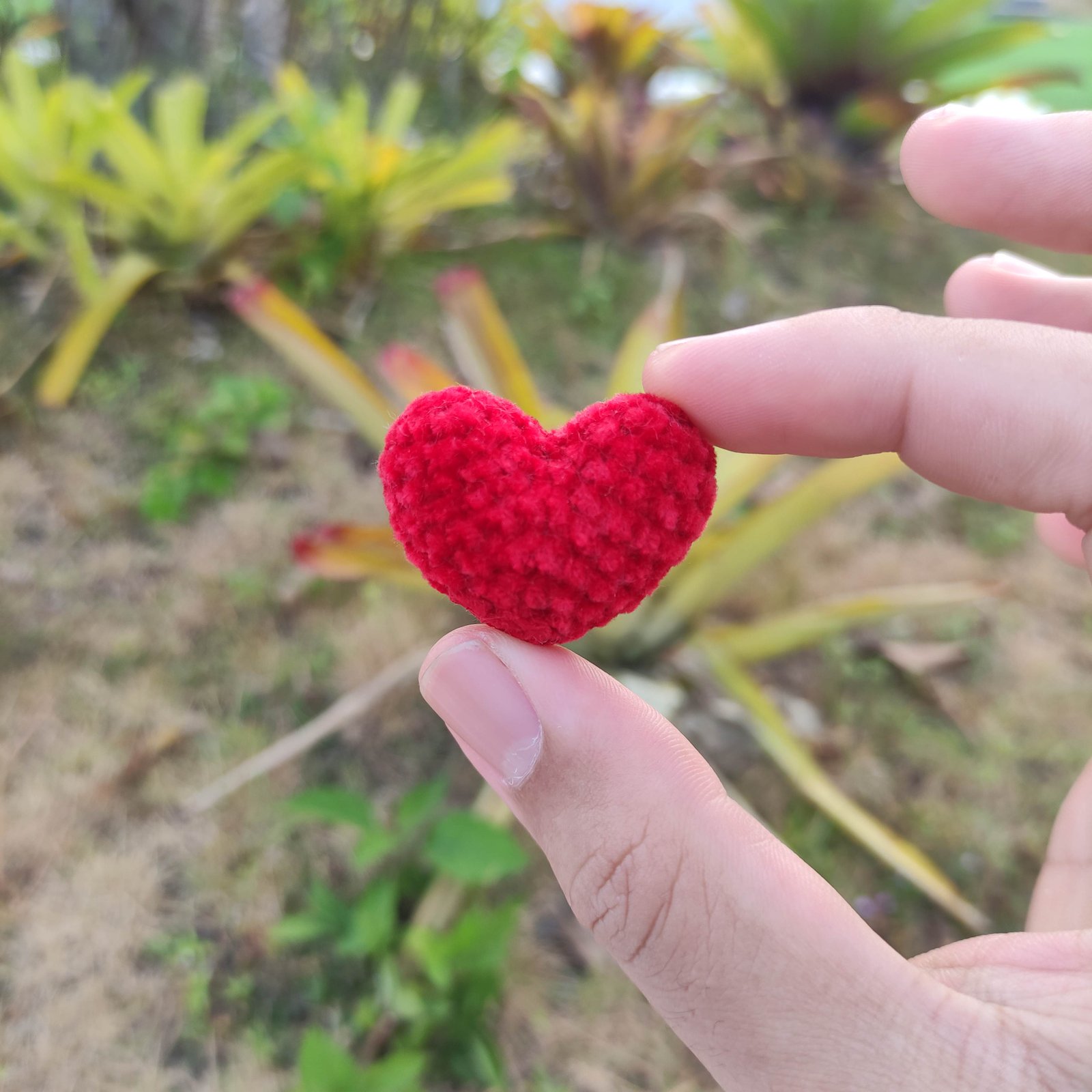 Hati Merah Mungil