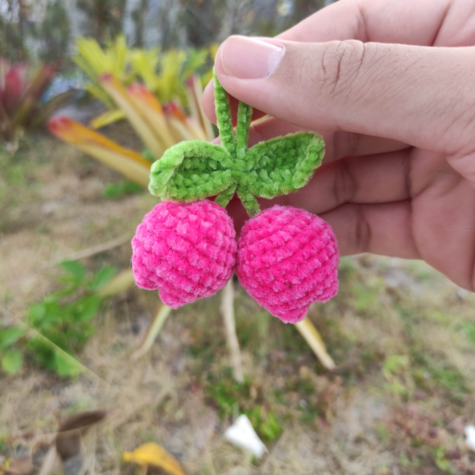Tulip Double Pink Sedang