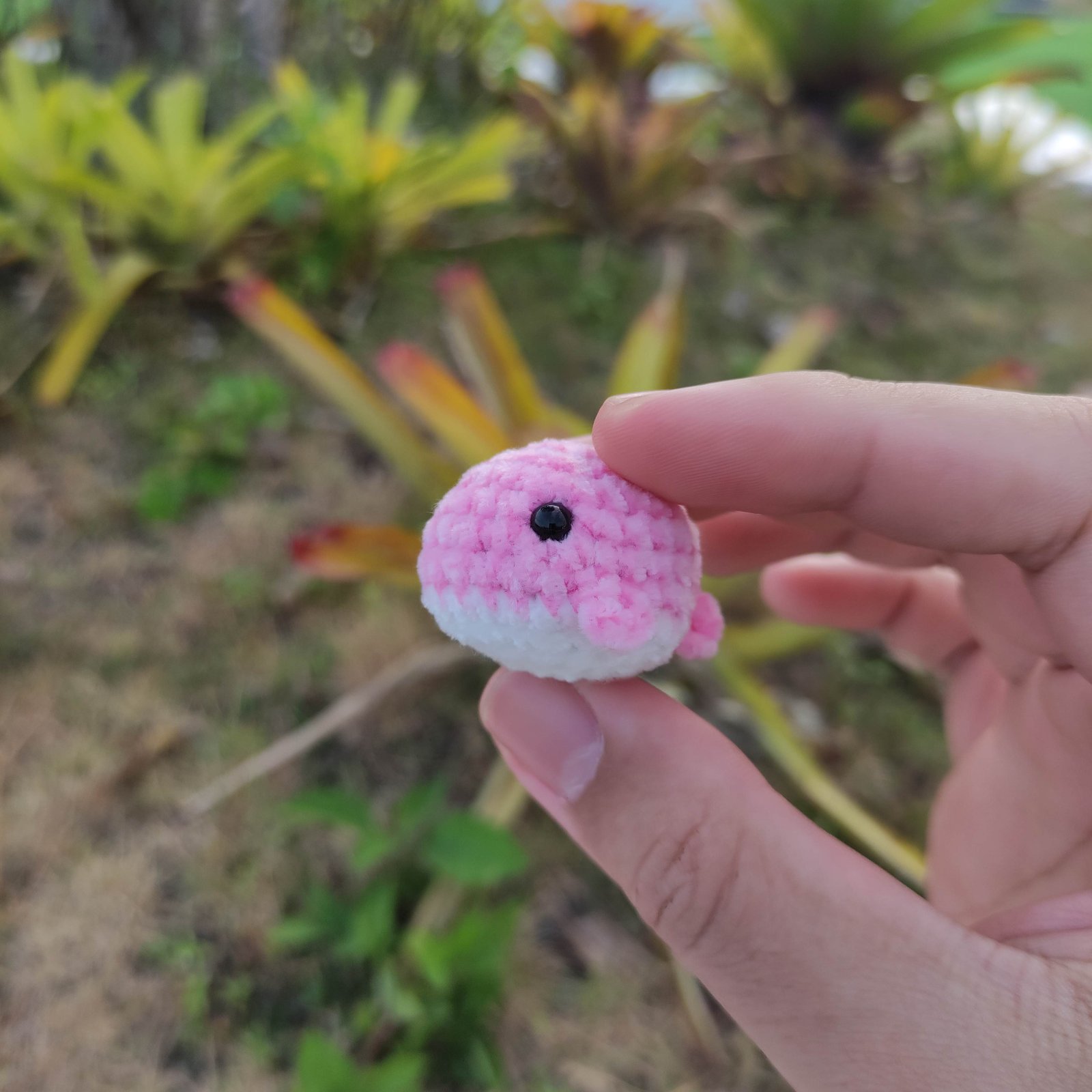Paus Bulat Mini Pink