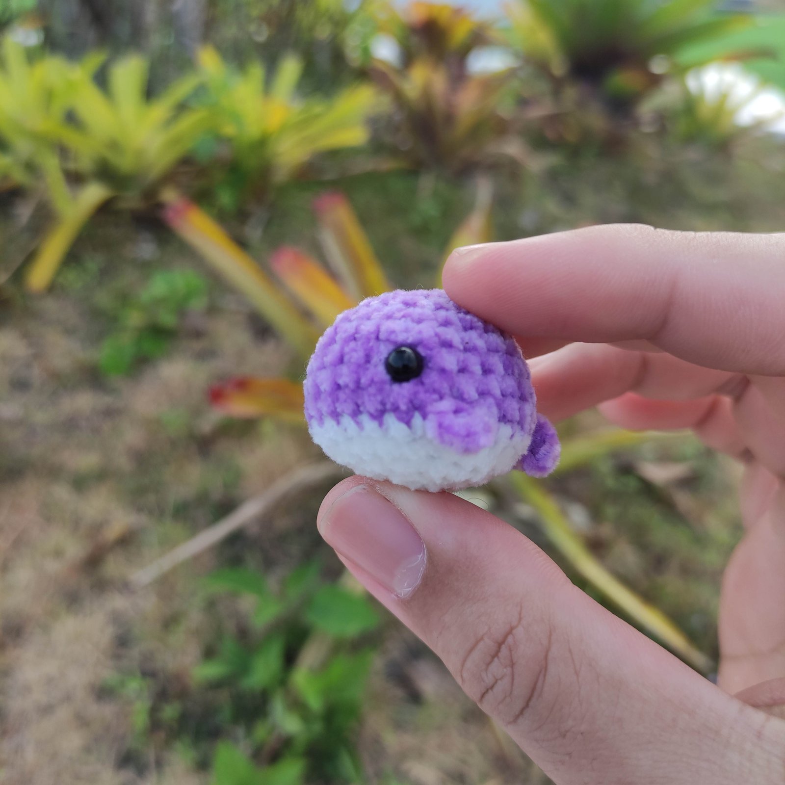 Paus Bulat Mini Lavender