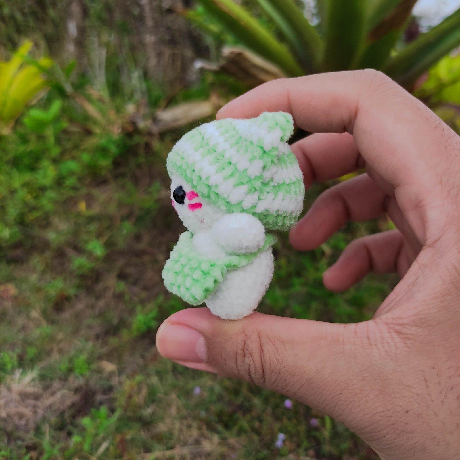 Kucing Kupluk Mint