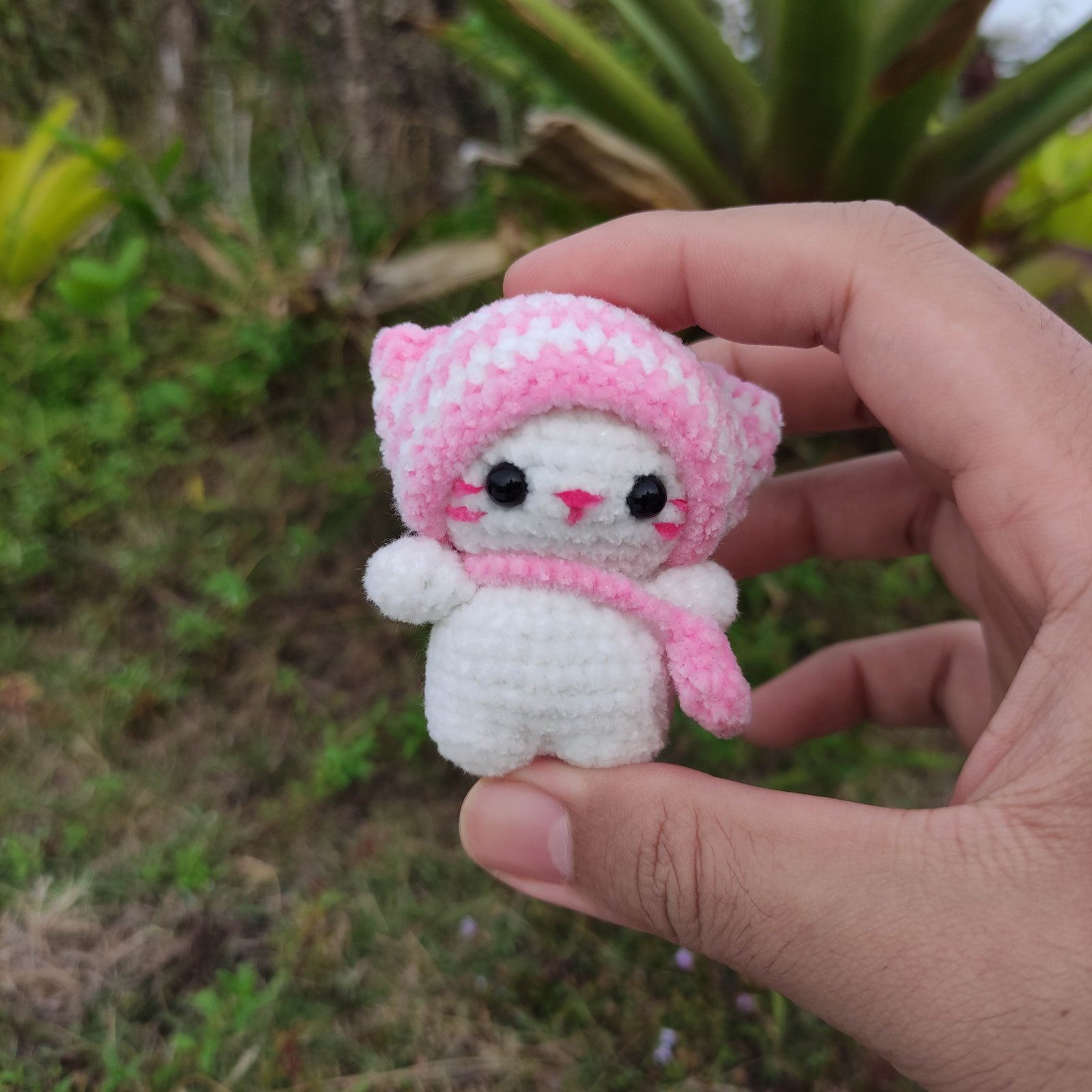 Kucing Kupluk Pink