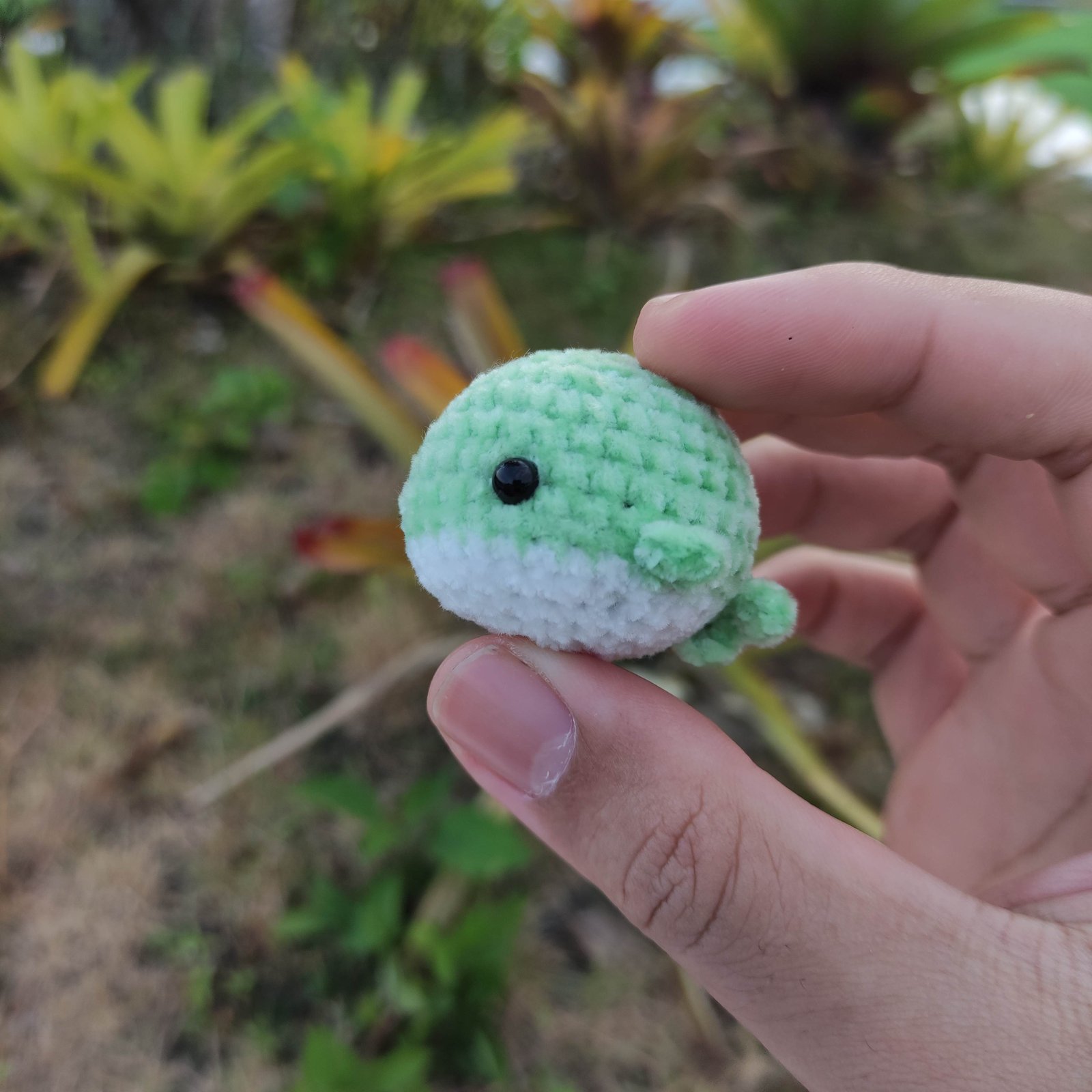 Paus Bulat Mint