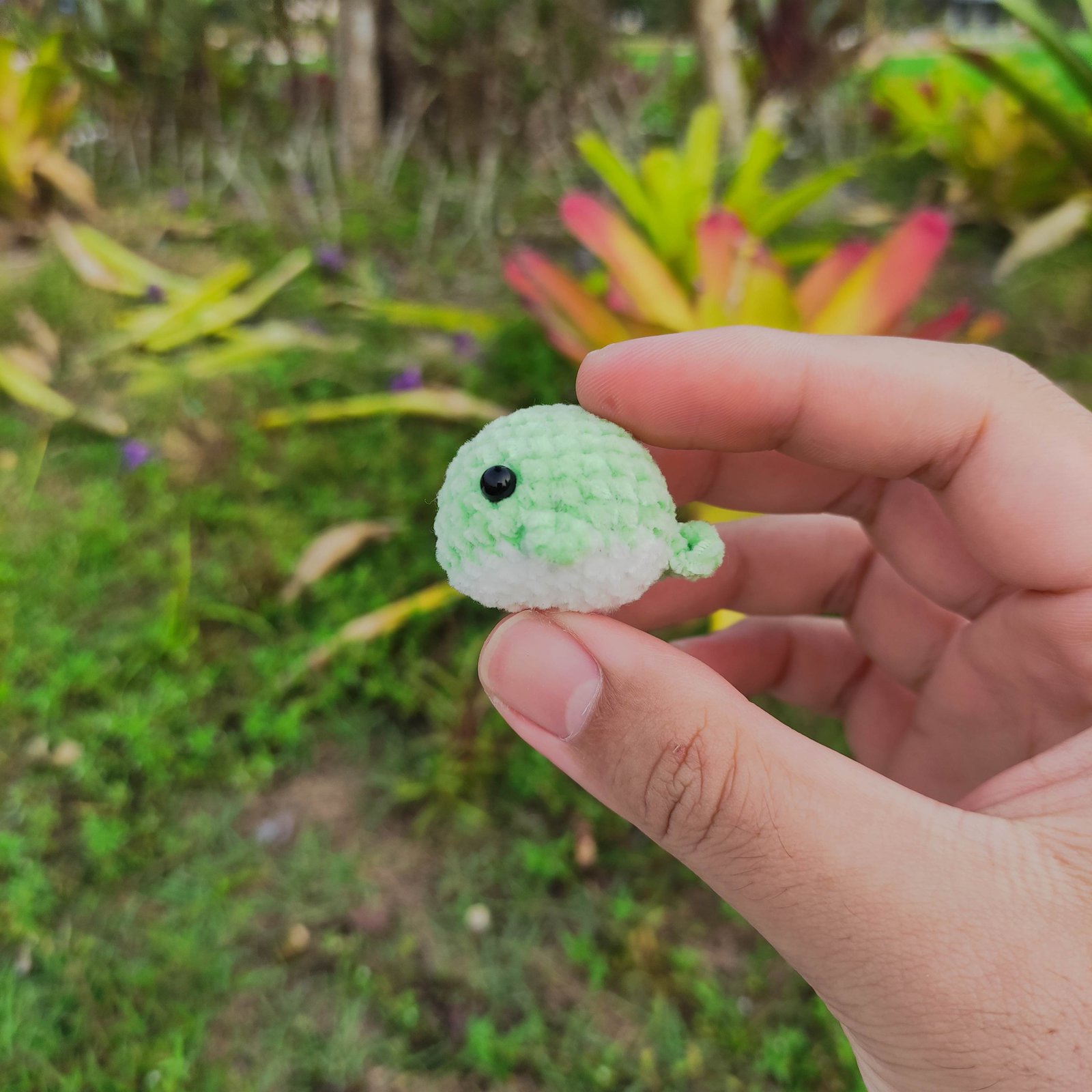 Paus Bulat Hijau