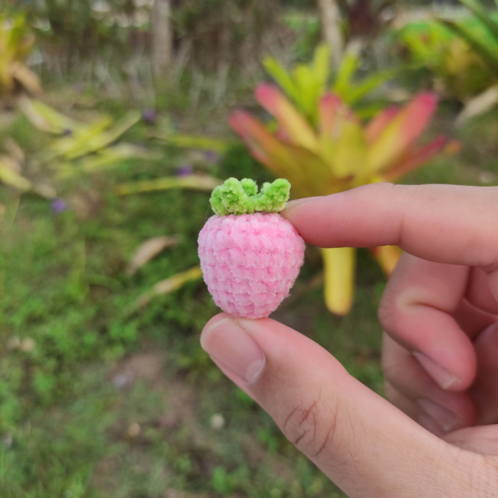 Stroberi Mini Pink Terang