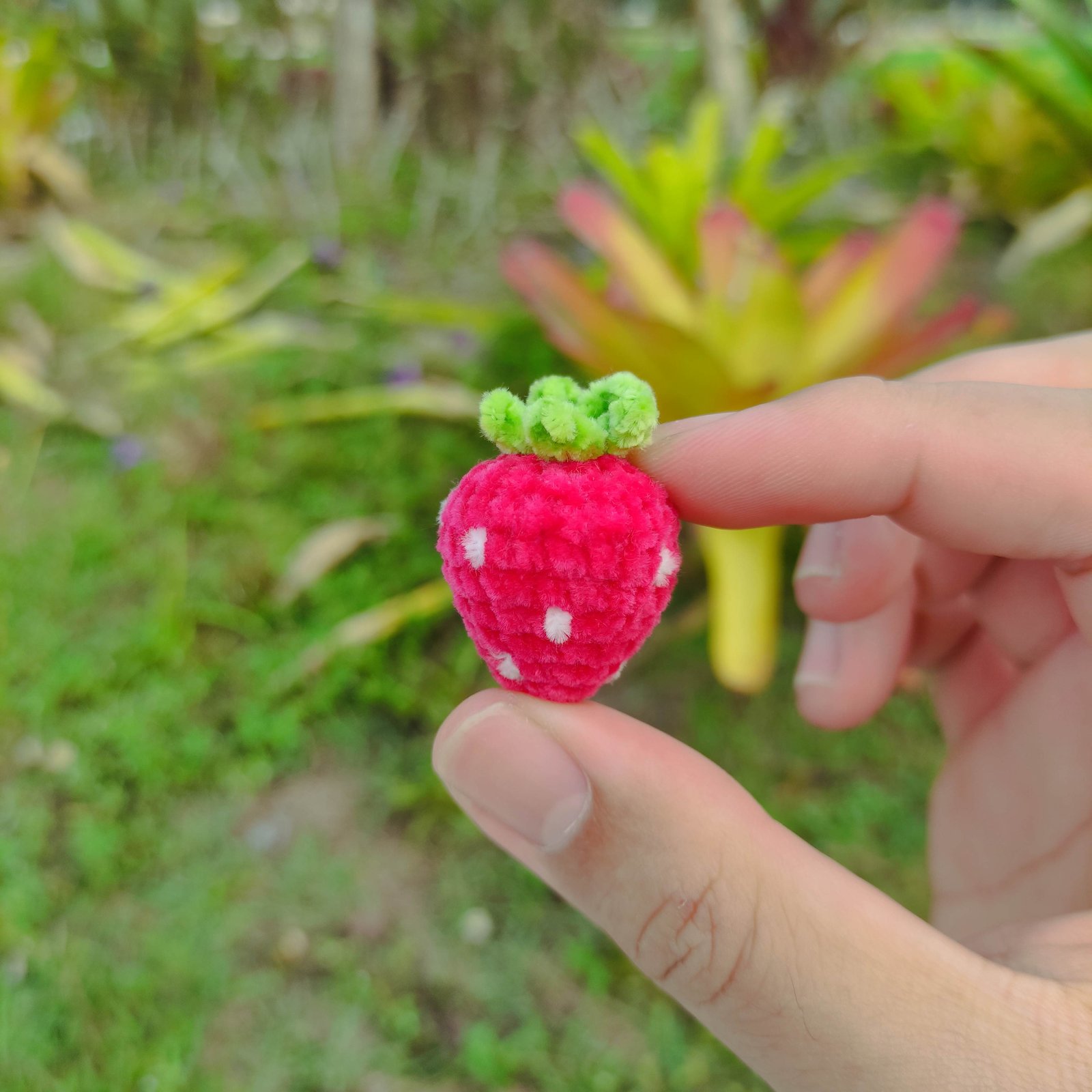 Stroberi Mini Fuchsia