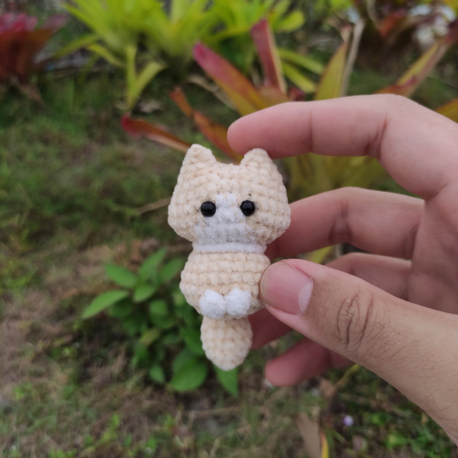 Anak Kucing Ekor Besar variant