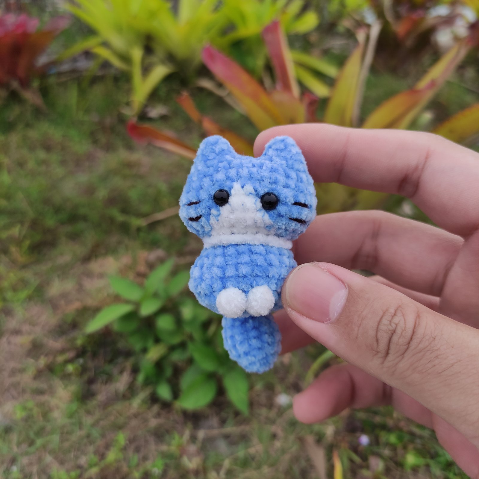 Kucing Biru Ekor Besar