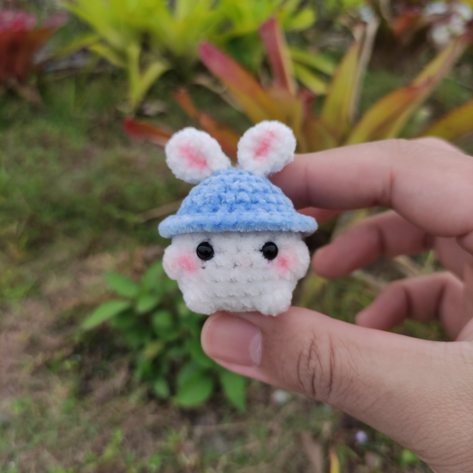 Jamur Mini Topi Kelinci Biru