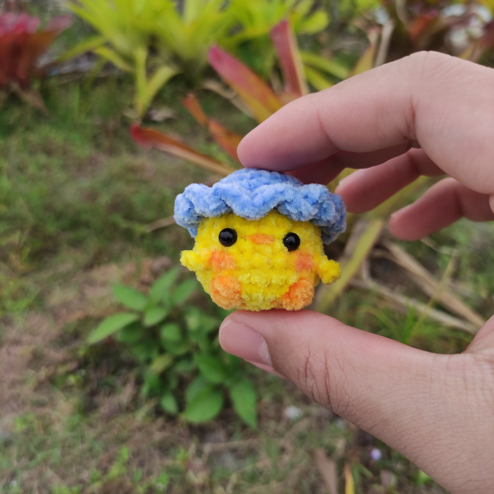 Anak Ayam Topi Biru