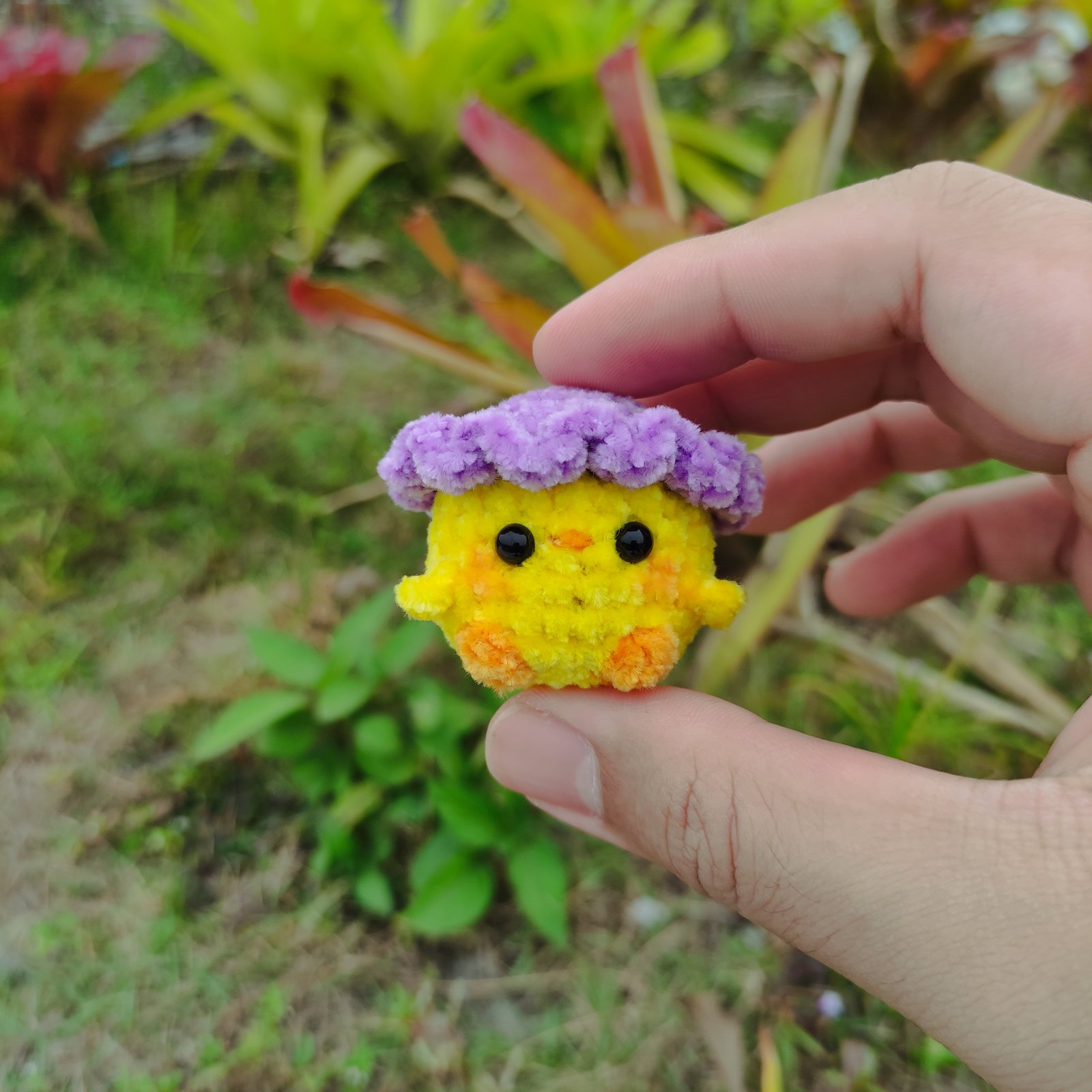 Anak Ayam Topi Ungu