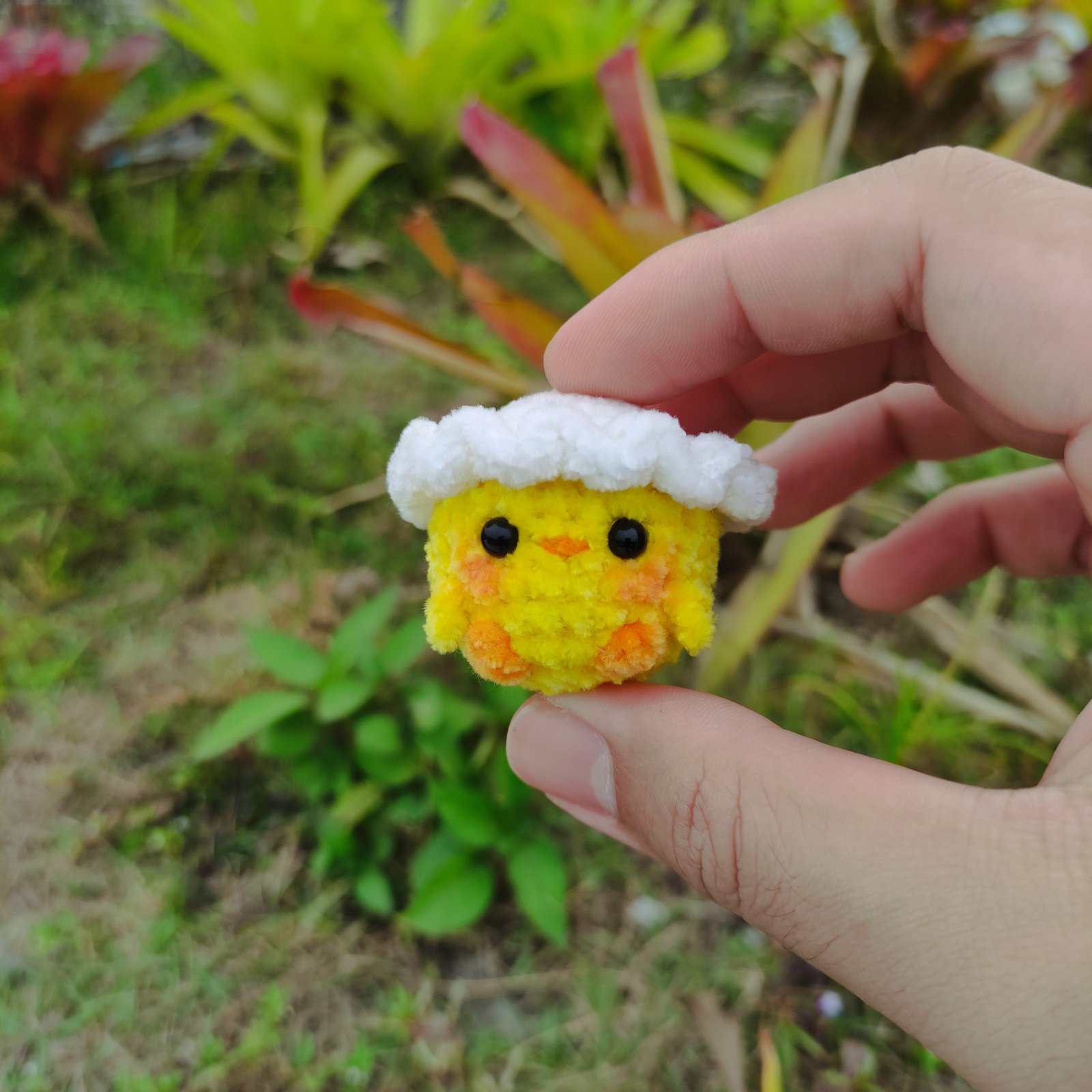 Anak Ayam Topi Putih