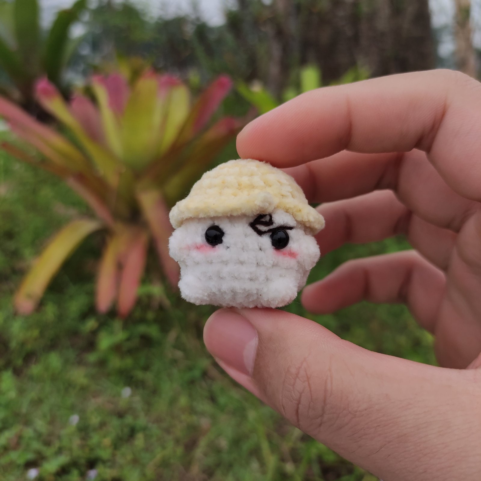 Jamur Mini Sanji