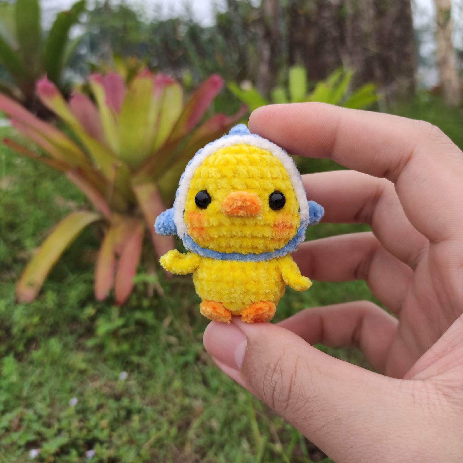 Anak Ayam Topi Hiu Biru