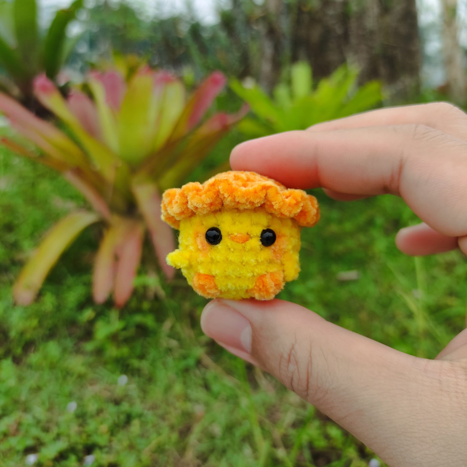 Anak Ayam Topi Oren