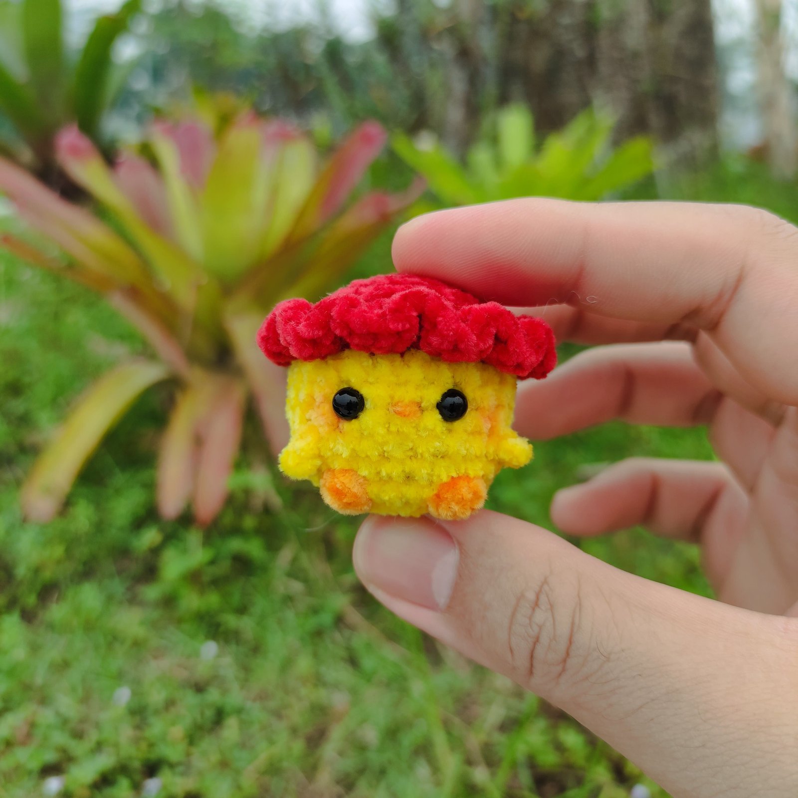 Anak Ayam Topi Merah