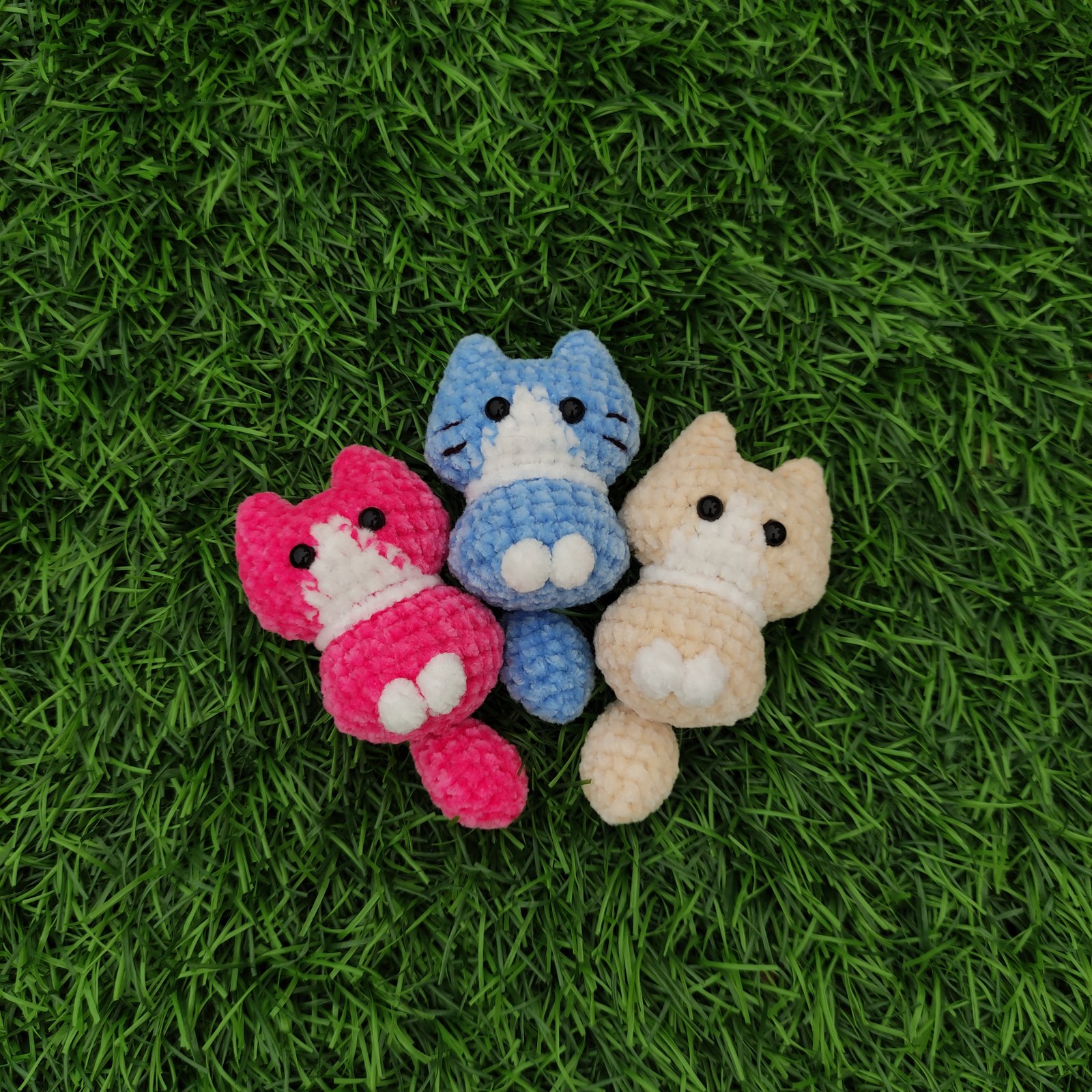 Anak Kucing Ekor Besar variant